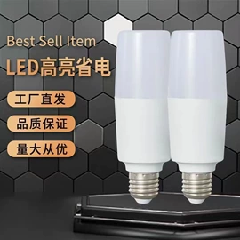LED球泡灯;LED横插灯;其他LED光源