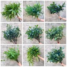 ����ֲ�� ܛ���z�ȼ���С���~ �b��쾰�Ҿ��҃ȷ���Gֲ���Q���l