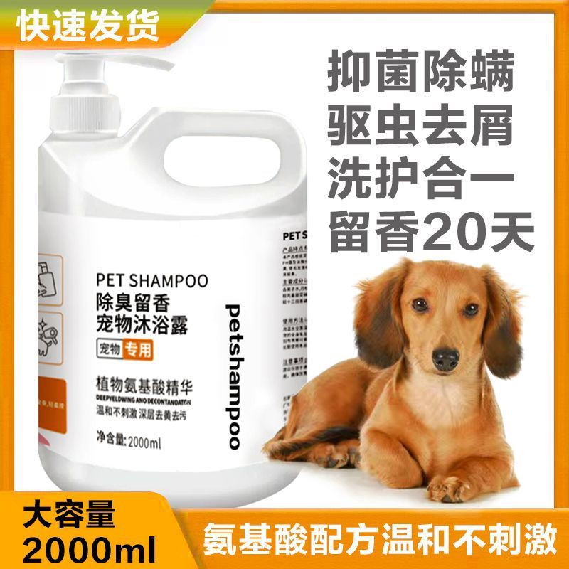 犬用大型バケツシャワージェル、殺菌、ダニ除去、虫除け、かゆみ止め、香り付きテディビションゴールデンレトリバー専用バスシャンプー|undefined