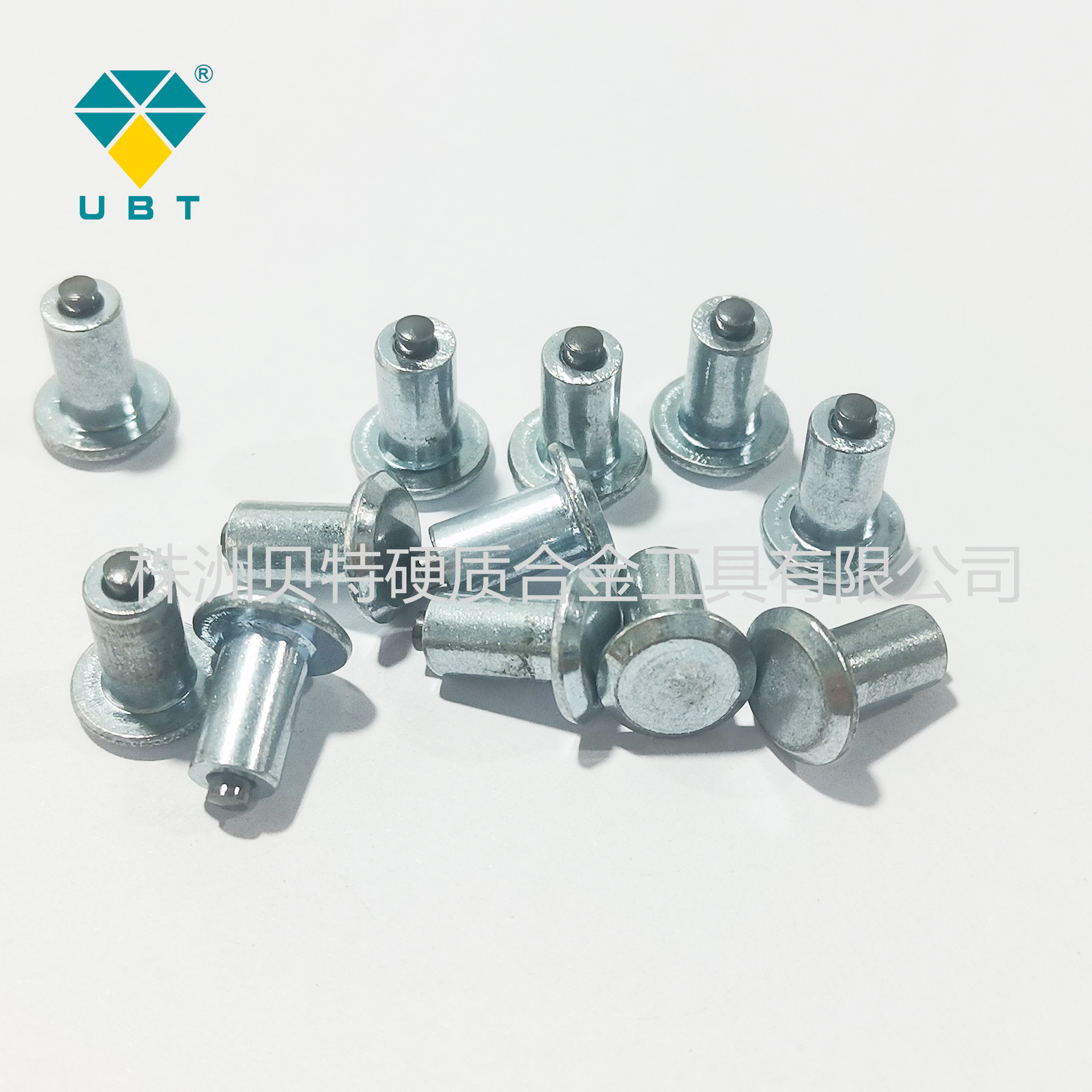 微信图片_20250207103141-1