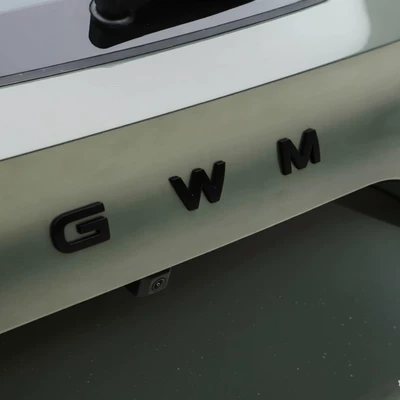 Non-Destructive Installation Tail Logo Blackening Modification — Car logo