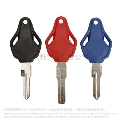 For motorcycle Augusta MV800 Agusta F3 F4 sports car RVS 1090 key embryo/handle