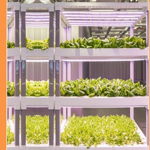 ��ֲ���a���ȫ���Vֲ�����L��ˮ���~�߲˽M������Gֲ���ܲ�ݮ