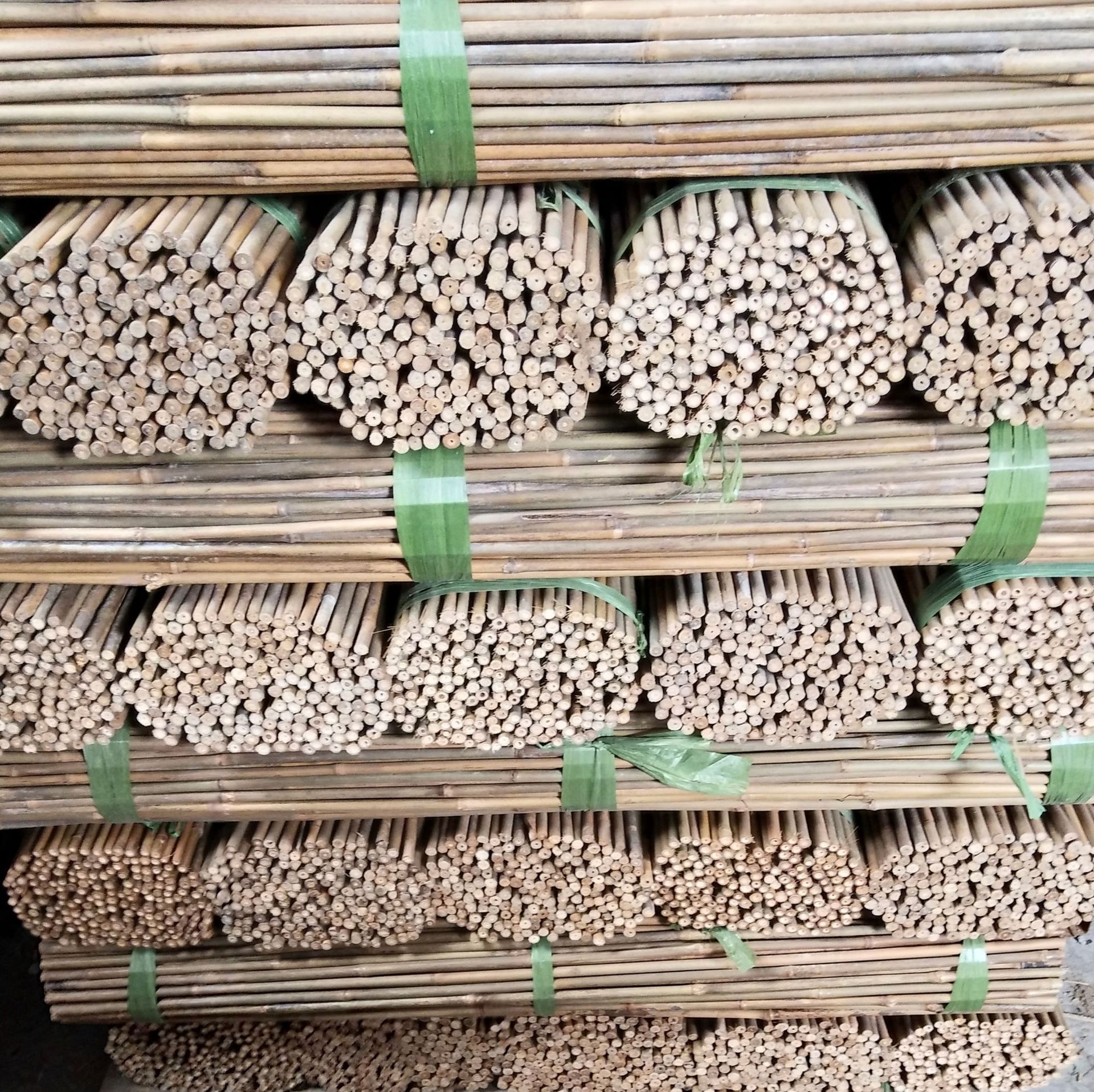 【厂家直发】厘竹 茶杆竹 竹竿 东京竹手杖 昆虫屋用竹 手抄网竹-阿里巴巴