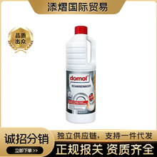 德国进口domol管道疏通剂液下水道除味厨房卫生间厕所水池堵塞1L