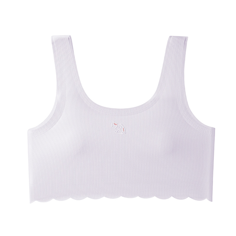 9023 섹션 2 얼음 투명 보라색