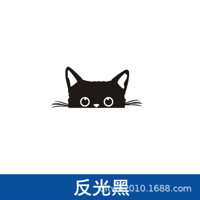 반사 검정색