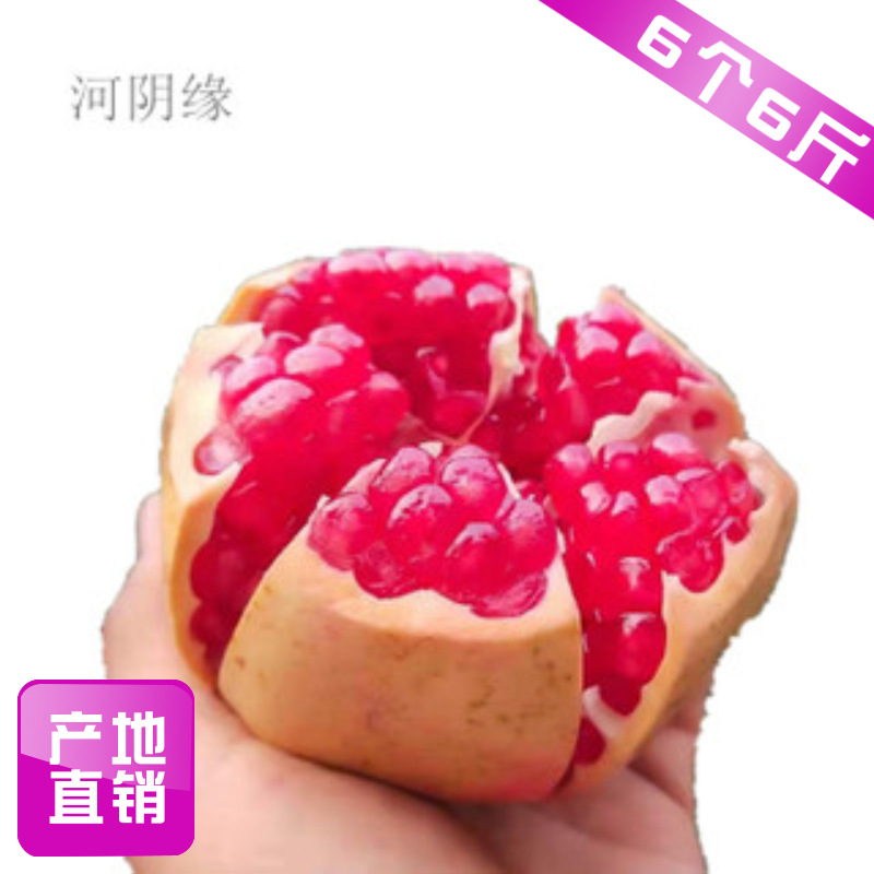 【預售】河陰突尼斯軟籽石榴非蒙自會理現摘現發新鮮水果 6個6 斤