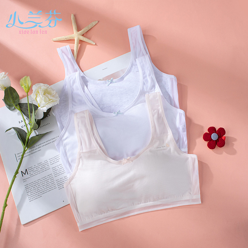Girls, Junior High School Students, Adolescent Bras, Sports Breathable Mesh Intimates, Older Children, Students, Developmental Period Vests