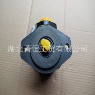 Cummins 6Bt5.9 Engine Hydraulic Power Steering Pump 4937729