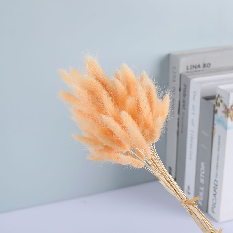 La flor eterna de la flor de la cola de conejo hierba seca 60 piezas al por mayor Dogtail hierba seca ramo de flores decoración DIY conejo hierba de la cola