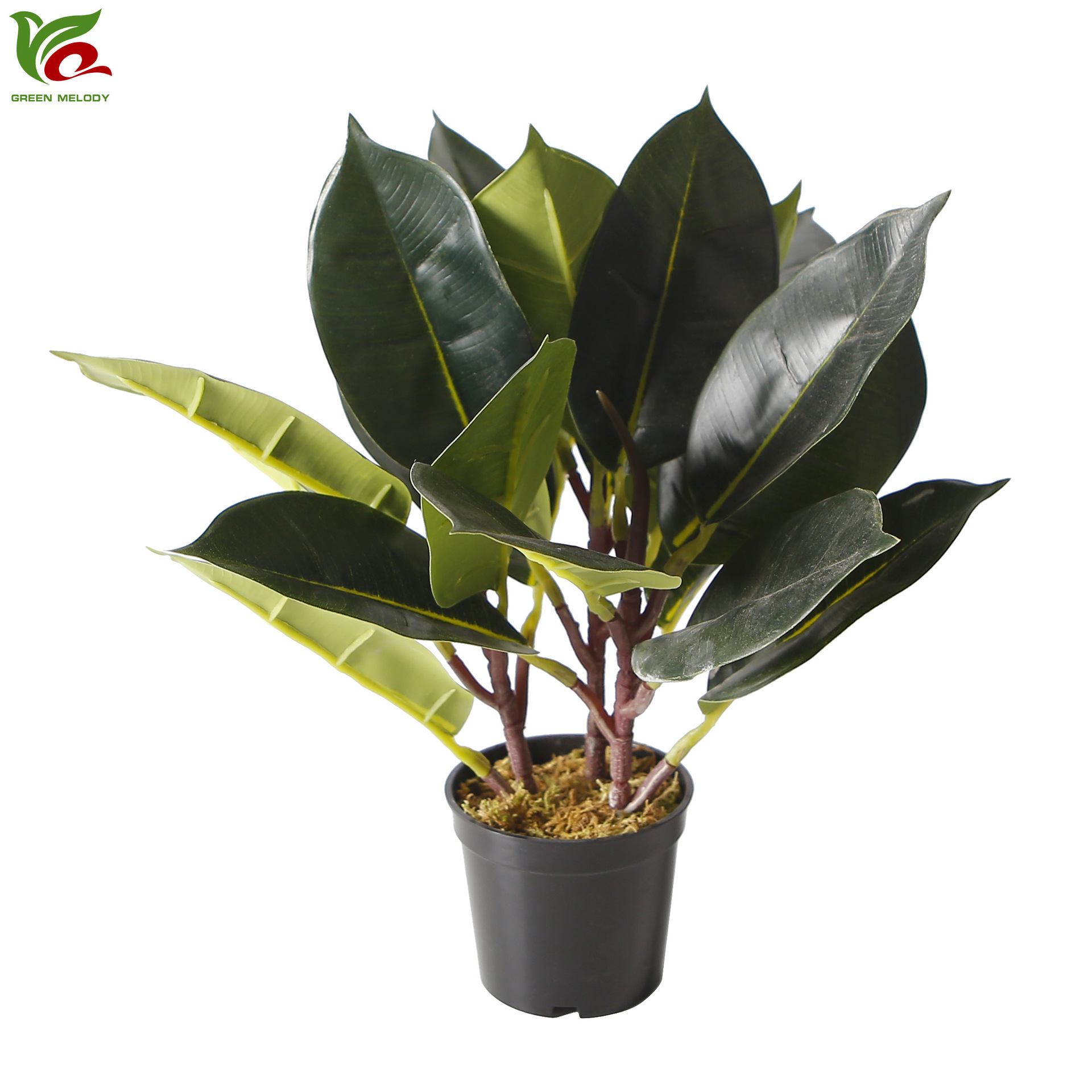 黑金刚仿真绿植盆栽室内花卉植物小橡皮树苗阳台庭院假植物