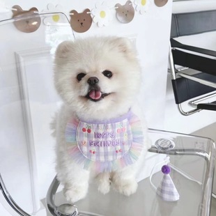 �F؛INS�n���ɐ����մ̽��������� ����؈�乷��������ˮ��pet