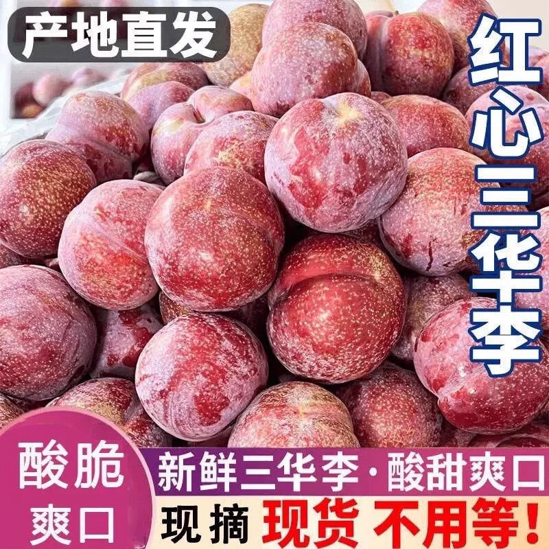 正宗三华李5斤新鲜李子当季水果现摘红心李子大果整箱