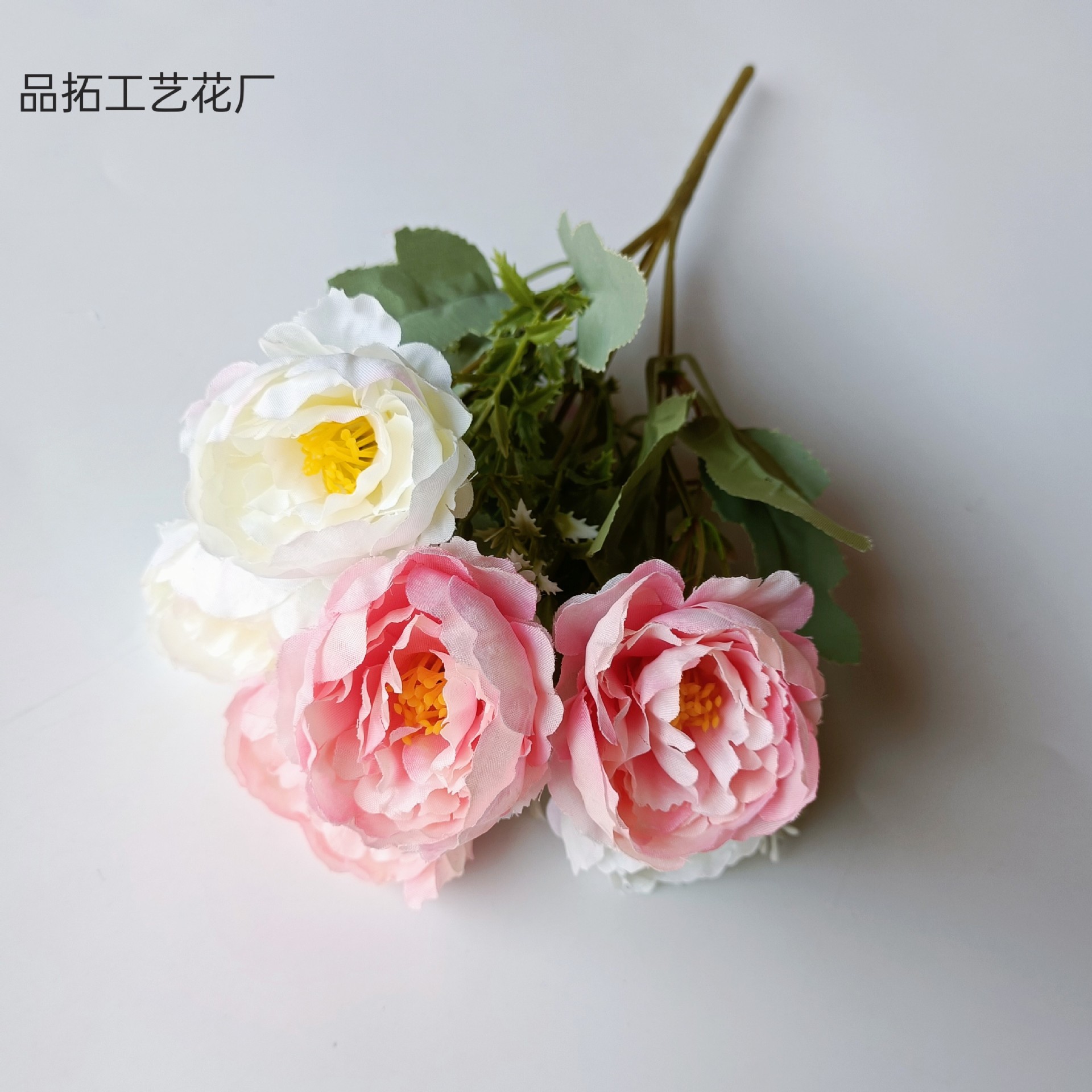 핑크 화이트