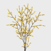 �Sɫӭ�����������ӭ���������껨�b��Ŀ͏d�ҾӲ廨ӭ����