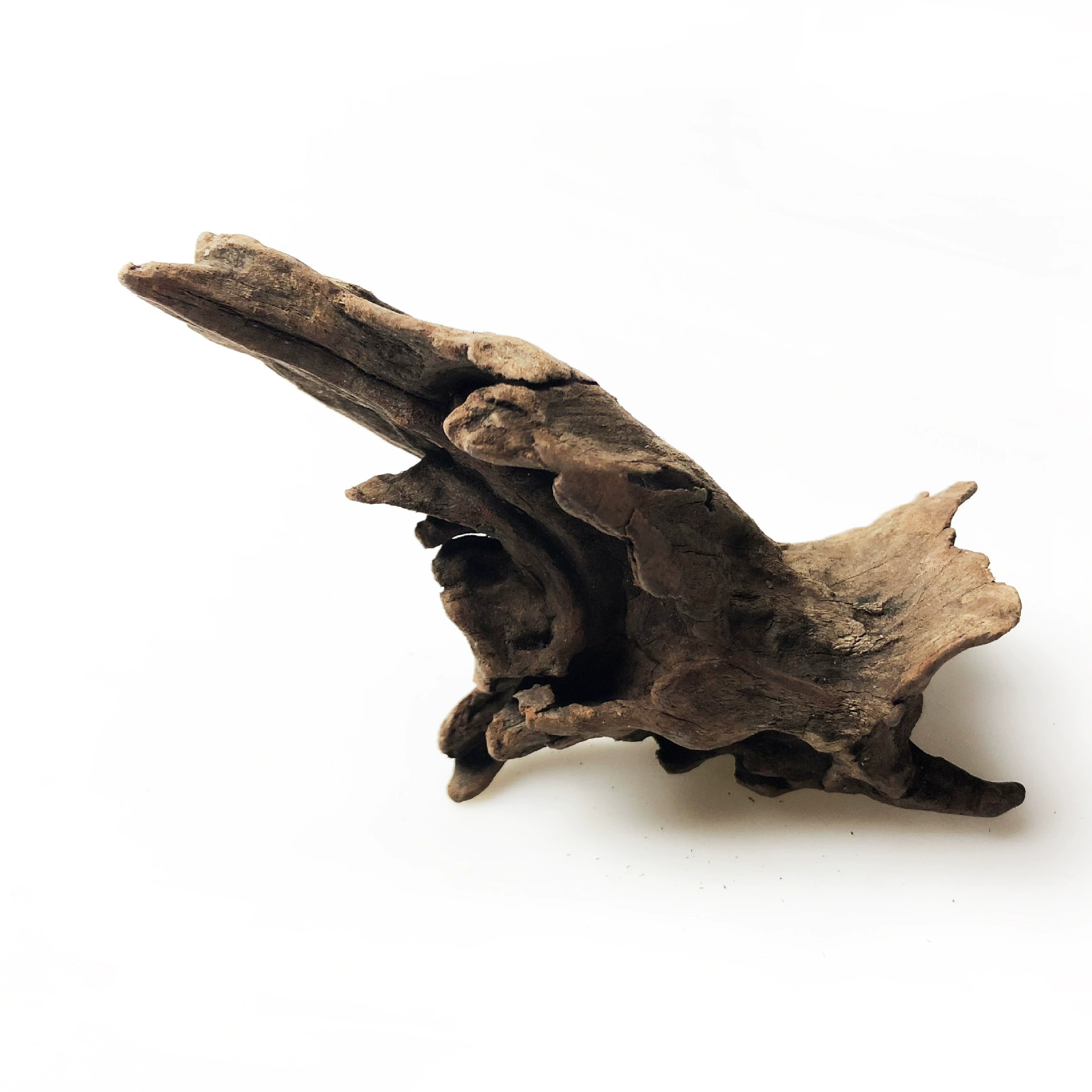 Небольшой затонувший ландшафтный дизайн затонувший аквариум из натурального дерева поставляет микропейзаж-амфибию затонувший аквариум оптом