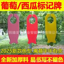 西瓜标记牌葡萄授粉记号卡苗木环扣分批色卡瓜果标签标识挂吊牌