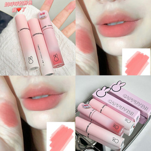Cappuvini��ɫ�R�����d�z�q���F���ⴽ�� �@�ײ��θɴ��Կڼt��؛
