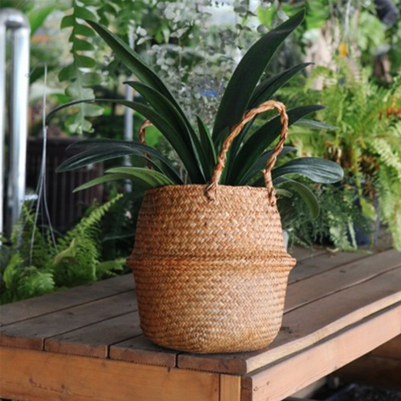 Northern Europe ins Organ Ficus hispida decorate Flower pot Straw basket balcony a living room bedroom Green Potted plant Storage basket