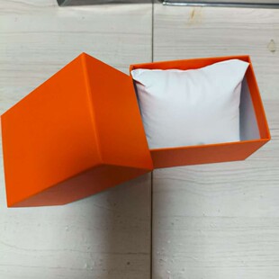 Neutral Watch Case