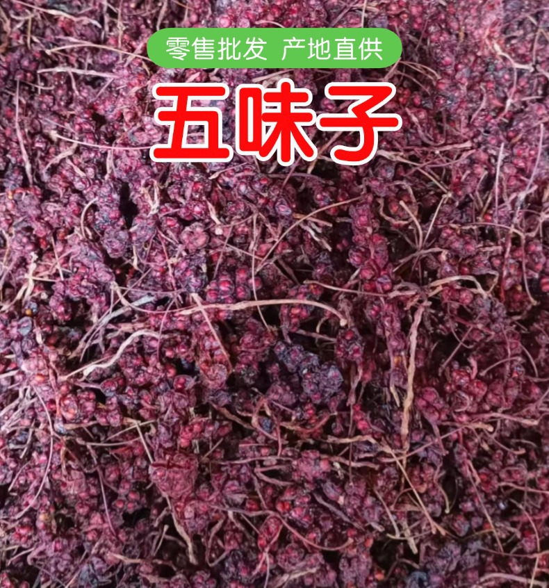Dried Schisandra Berry Wu Wei Zi 500g Bagged Fresh Harvest for Tea and Wine Infusion overview