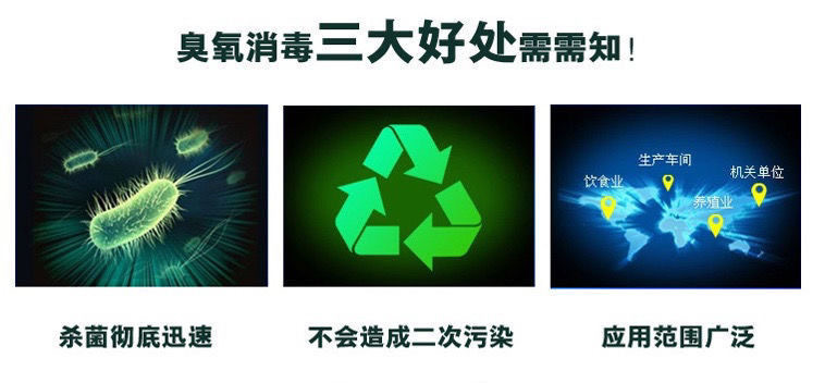 IMG_4084(20231126-150643)