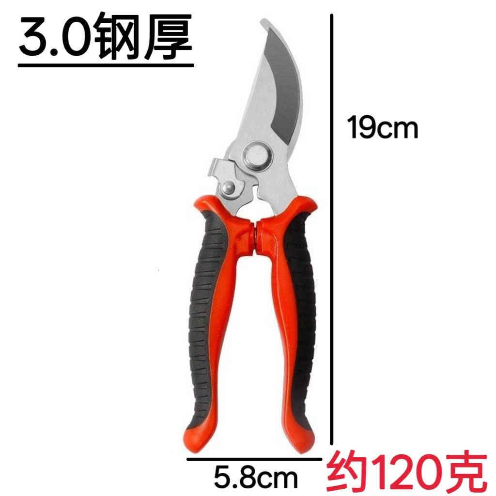 微信图片_20250712142316