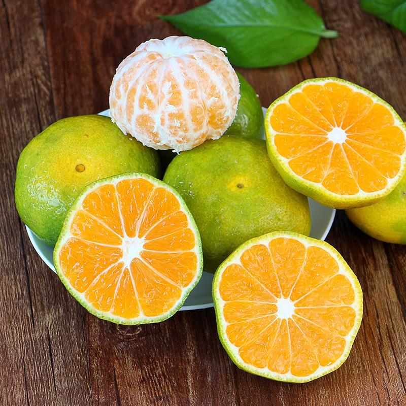 新品种青皮蜜桔苗 日南一号桔苗早熟青柑橘苗 嫁接无核蜜桔子树苗