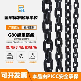 吊带;起重葫芦;其他索具