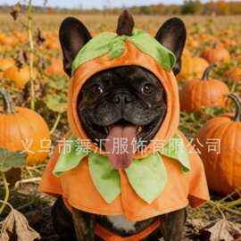 跨境万圣节南瓜宠物狗狗服装宠物服饰cos服装