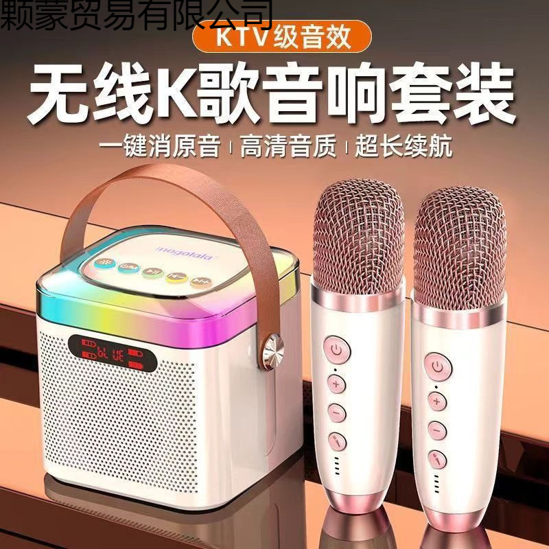 Wireless Bluetooth Audio Mini Handheld Microphone Singing and Karaoke All-In-One Kidsren's Home Ktv Audio Set