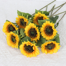 �������տ��͏d�Ҿӑ����b��߼ٻ����Q�Ƶ�̨���S��ֱ�N��c