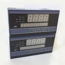 LDJF-3250/W flow totalizing instrument Shanghai Shangrun instrument