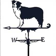 �羳�����L��˲��P䓇���[��ͥԺ�����Fˇ�L����b���@