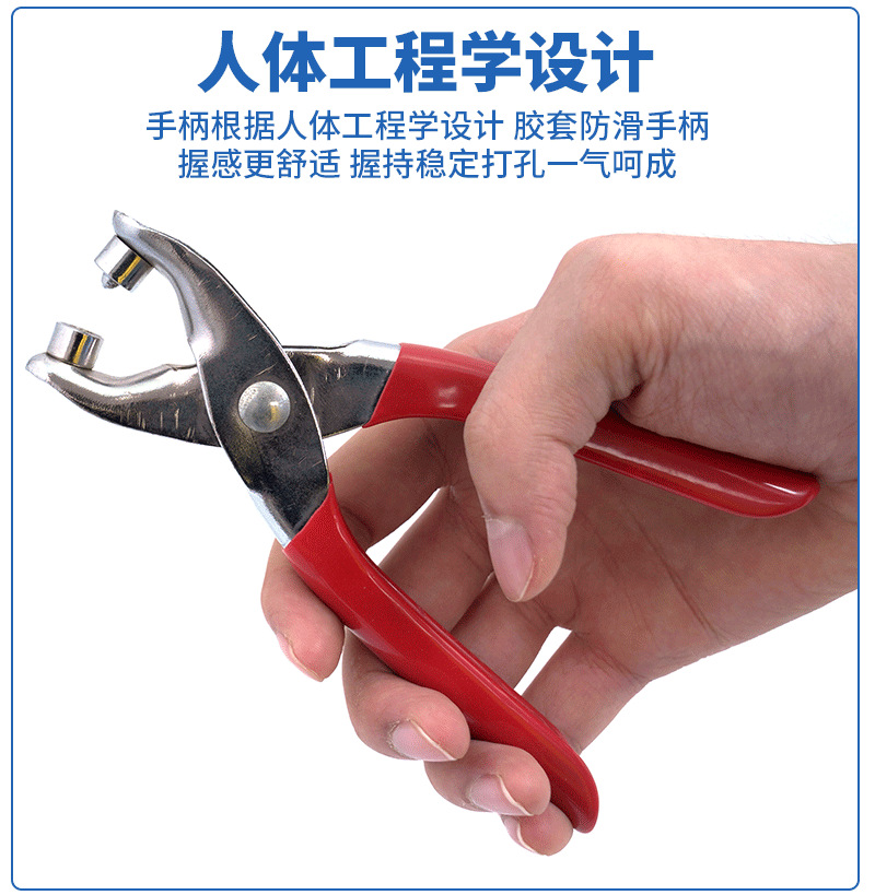 新模板_09.png