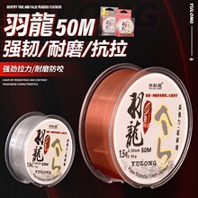 50���~���������������eҰ���������ܛ������~���Ӿ�