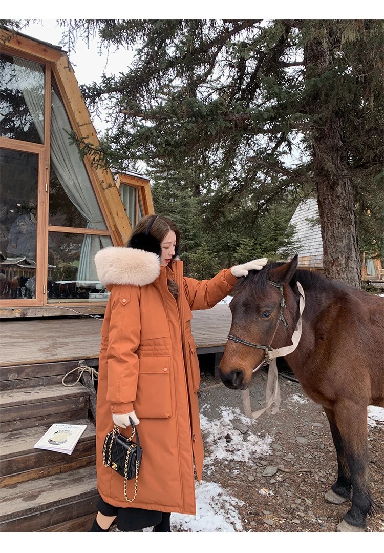 1630393154031.jpg?x-oss-process=image/format,png