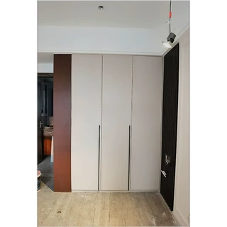 工厂直营Wardrobe全屋定制衣橱柜轻奢烤漆衣柜门悬空储物柜定做