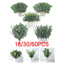 N 79938 Money Leaf Eucalyptus Foliage ��ǮҶ�ȼ�������Ҷ
