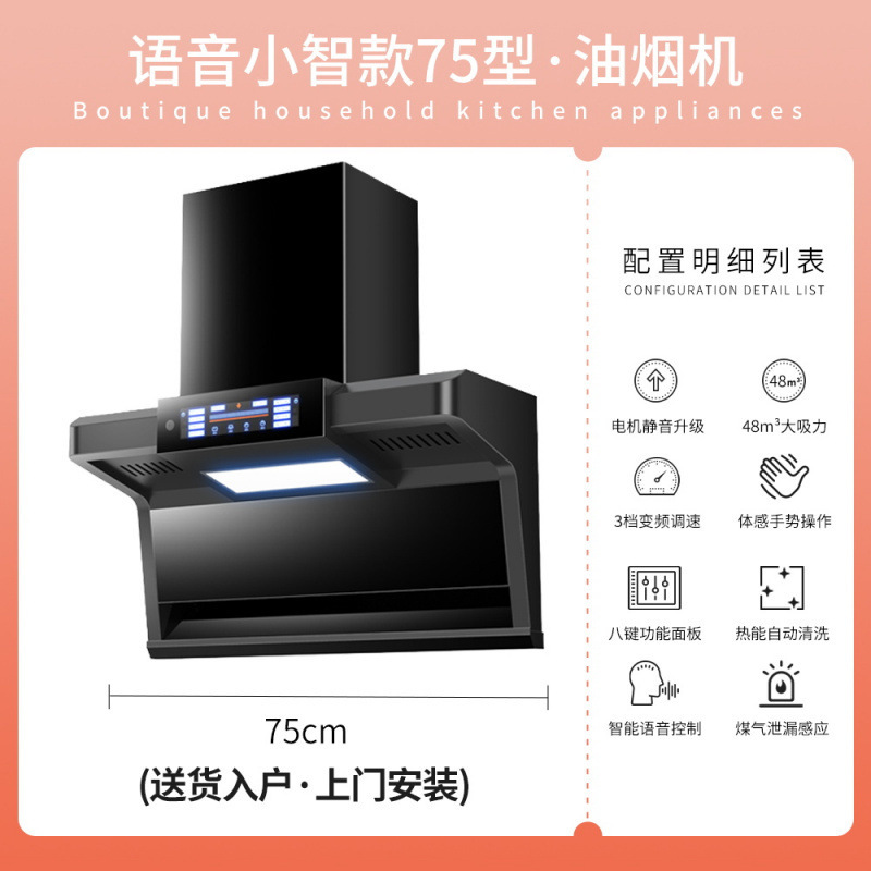 グッドワイフ レンジフード 家庭用キッチン 大型吸引 トップサイド ダブル吸引 排油機 レンタルルーム レンジフード 小型|undefined