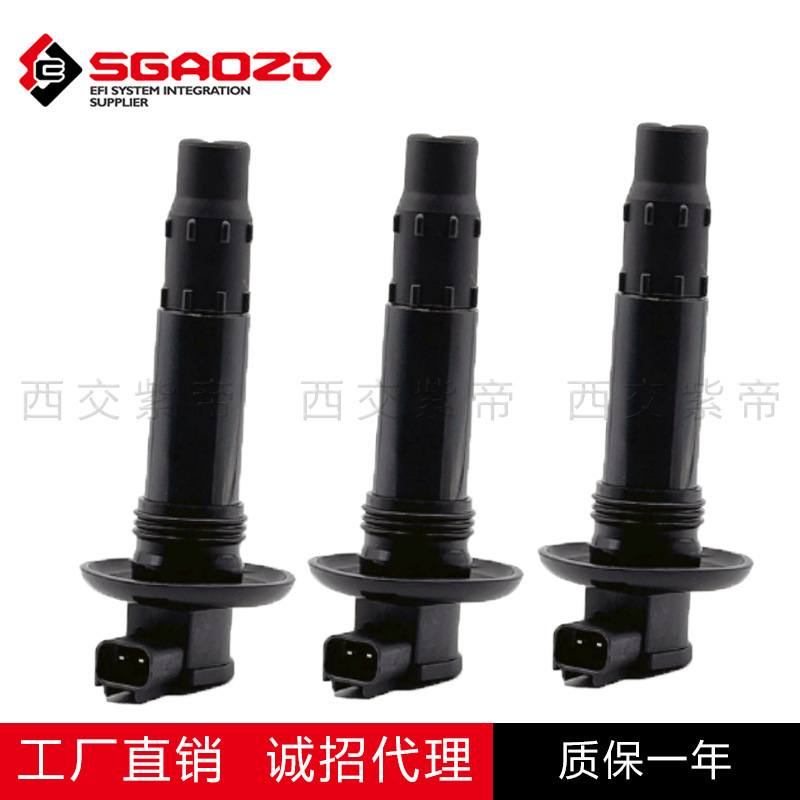 自動車部品クロスボーダーオペル GTX 点火コイル高電圧パッケージ 296000307 420664020|undefined