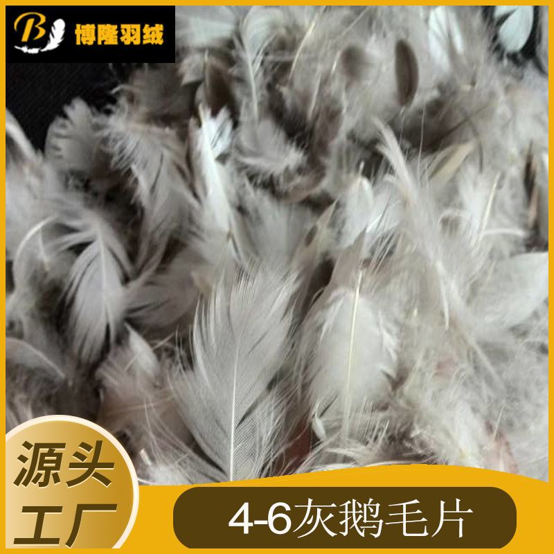 4-6灰鹅毛.jpg