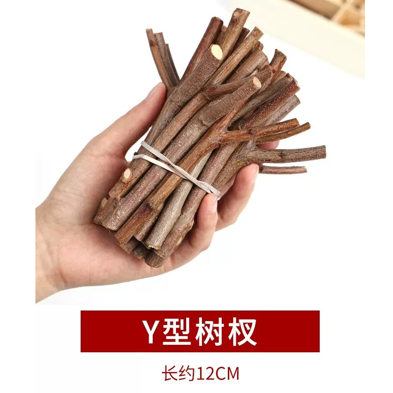 枝材料天然乾燥枝幼稚園児童手作りdiy装飾材料木創造造景原木段|undefined
