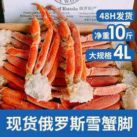 现货俄罗斯蟹腿自助餐超大蟹脚肉盐冻松叶蟹海鲜长脚熟蟹腿帝王蟹