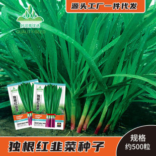 �S�����l�����t�²˷N�Ӽt��탲��ļ��ϸ��ѾŲ˷N�����Բˈ@�˷N