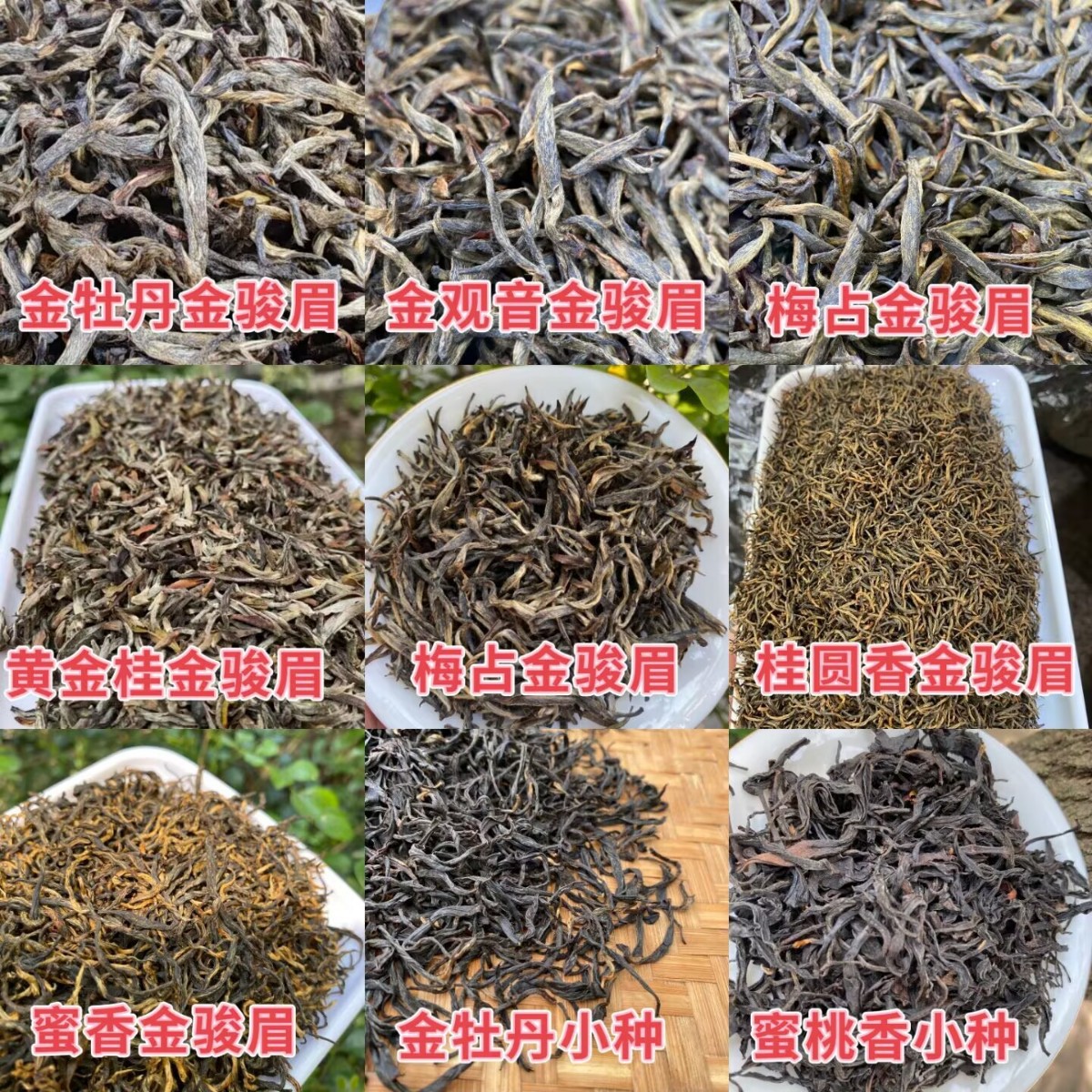 正山小种金骏眉梅占金牡丹福鼎白毫银针白牡丹贡眉寿眉白茶样克