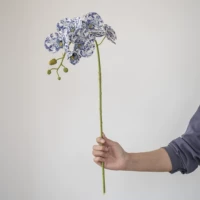 Сине -белый фарфор