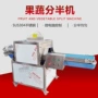 v型商用型豆制品果蔬设备