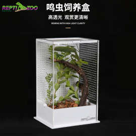 Reptizoo亚克力饲养盒竹蛉昆虫盒螳螂罐蝈蝈笼子鸣虫生态盒蟋蟀箱